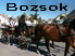 Bozsok